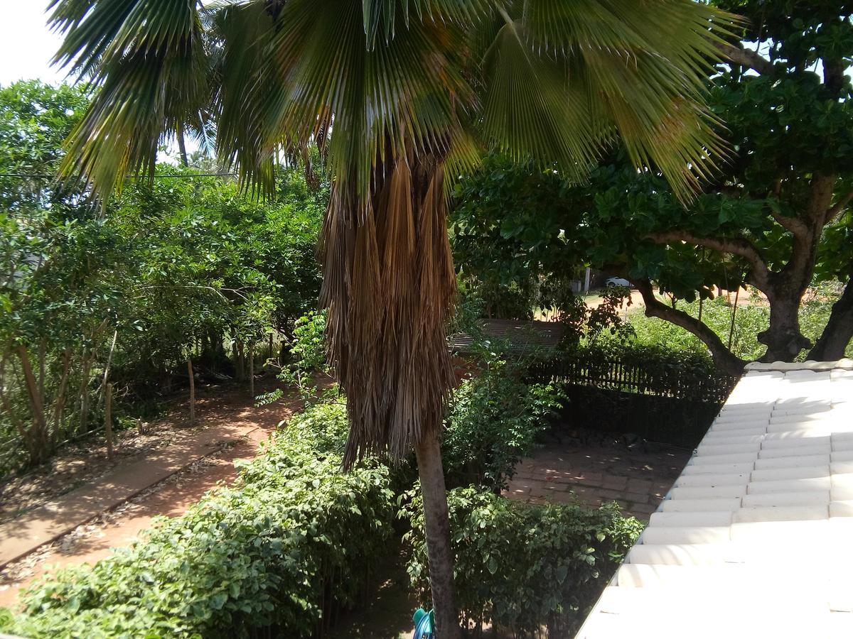 Chale Kangaroos Imbassai Exterior photo